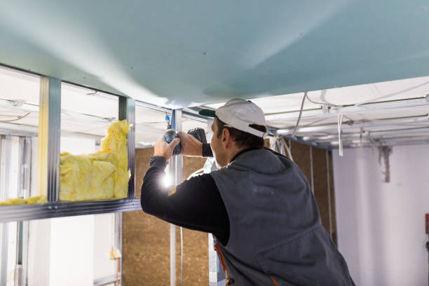 Trusted Elk River, MN Insulation Installation & Removal Experts